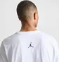 Футболка мужская Air Jordan Sport Dri-Fit Graphic T-Shirt White FN6016-100