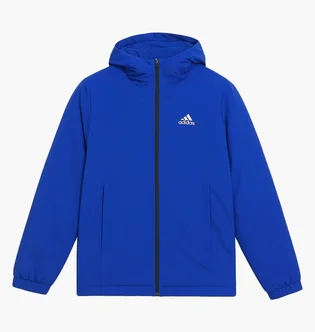 Куртка мужская Adidas Traveler Insulated Blue GT6555