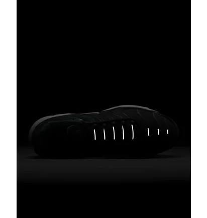 Кросівки чоловічі Nike Air Max Plus Shoes Black DM0032-009