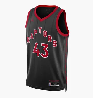 Майка чоловіча Air Jordan Dri-Fit Nba Swingman Toronto Raptors Statement Edition Black DO9544-011