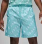 Шорты мужские Air Jordan Essentials Allover Print Poolside Turquoise DX9673-464
