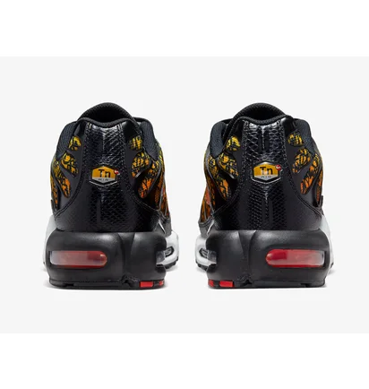 Кросівки чоловічі Nike Air Max Plus Multi DX2665-001