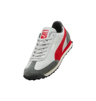 Кроссовки мужские Puma Easy Rider Mix Grey 399025-09
