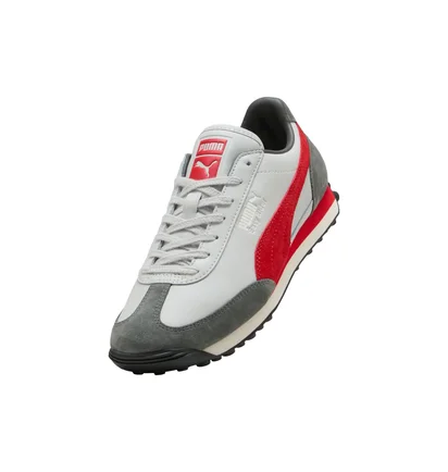 Кросівки чоловічі Puma Easy Rider Mix Grey 399025-09