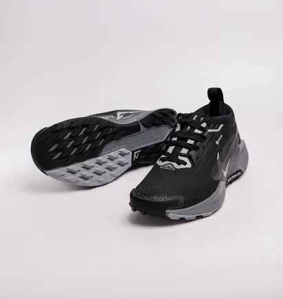 Кросівки жіночі Nike Pegasus Trail 5 Gore-Tex Black FQ0912-001