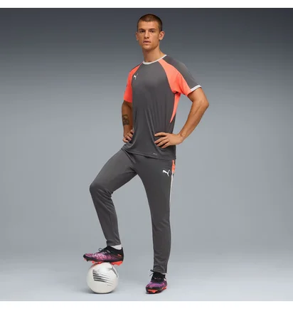 Штаны мужские Puma Individualliga Grey 659517-10