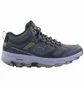 Кросівки чоловічі Skechers Go Run Trail Altitud Blue 220597-BLK