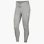 Штаны женские Nike W Nsw Essntl Pant Reg Flc Grey BV4095-063