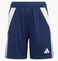 Шорты детские Adidas Tiro 24 Blue IR9369