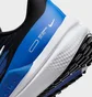 Кросівки чоловічі Nike Air Winflo 9 Running Shoes Black Dd6203-004