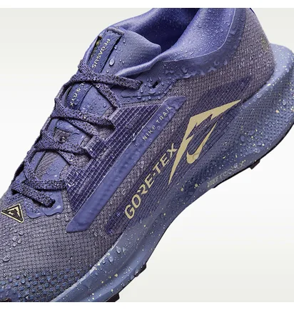 Кроссовки женские Nike W Pegasus Trail 5 Gtx Blue FQ0912-402