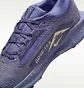 Кроссовки женские Nike W Pegasus Trail 5 Gtx Blue FQ0912-402