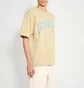 Футболка чоловіча stussy Arched Pig Beige 1905085-2727