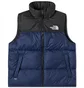 Жилетка чоловіча The North Face 1996 Retro Nuptse Vest Blue NF0A3JQQ92A