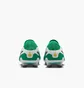Бутси унісекс Nike Tiempo Legend X Elite Lv8 Fg Green HJ7272-300
