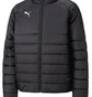 Пуховик чоловічий Puma Teamliga Padded Jacket Zip Black 658799-03