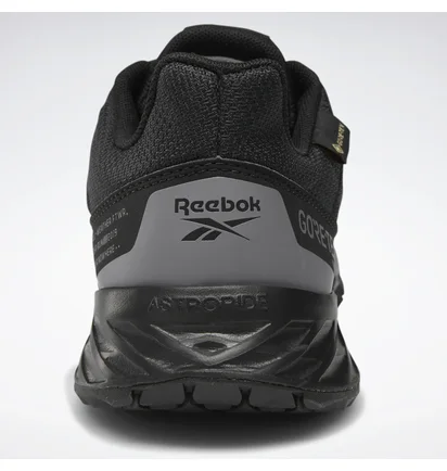 Кросівки чоловічі Reebok Astroride Trail 2.0 Gore-tex Black EF4179