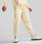 Штаны мужские Puma Classics Beige 535597-88