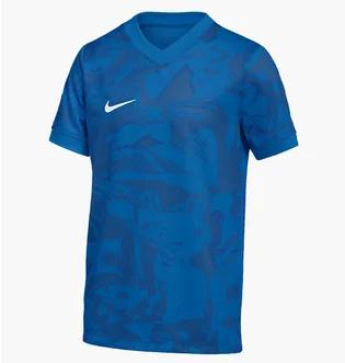 Футболка мужская Nike Precision Vii Blue FZ9332-463