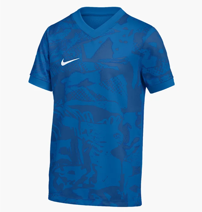 Футболка мужская Nike Precision Vii Blue FZ9332-463