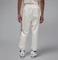 Штаны мужские Air Jordan Essentials MenS Fleece Joggers White HQ4645-133