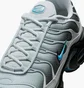Кросівки чоловічі Nike Air Max Plus Pure Platinum Grey DM0032-015