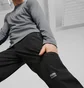 Штаны мужские Puma Seasons Stormcell Sympatex® Black 523251-01