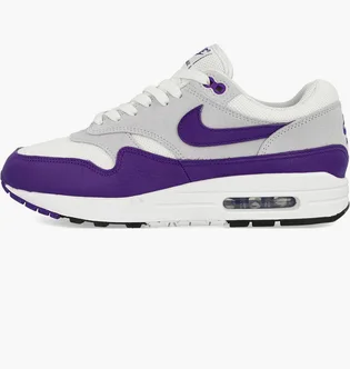 Кроссовки мужские Nike Air Max 1 Sc Grey/Violet DZ4549-101
