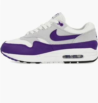 Кросівки чоловічі Nike Air Max 1 Sc Grey/Violet DZ4549-101