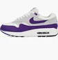 Кроссовки мужские Nike Air Max 1 Sc Grey/Violet DZ4549-101