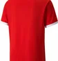 Футболка мужская Puma Teamliga Jersey Red 704917-01