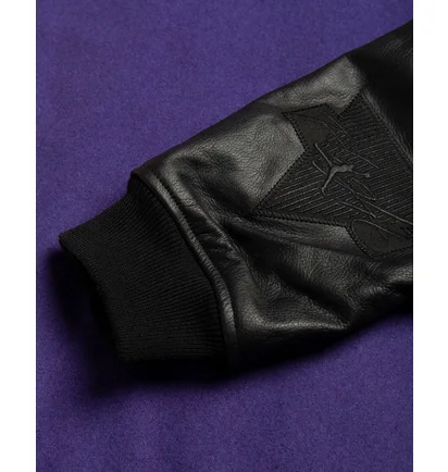 Бомбер чоловічий Air Jordan Dna Violet AT9958-504