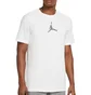 Футболка мужская Air Jordan Dfct Air Perf Gfx Crew White CZ8087-100