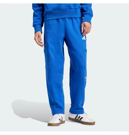 Штани чоловічі Adidas All Szn Fleece Graphic Loose Sportswear Blue JJ3663