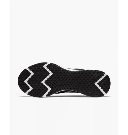 Кроссовки мужские Nike Revolution 5 Black Bq3204-002
