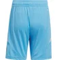 Шорты детские Adidas Tiro 24 Light Blue IT2418