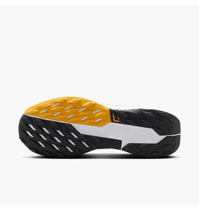 Кросівки жіночі Nike W Pegasus Trail 5 Gtx Waterproof Beige FQ0912-003