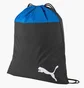 Рюкзак унісекс Puma Teamgoal Black 076853-02