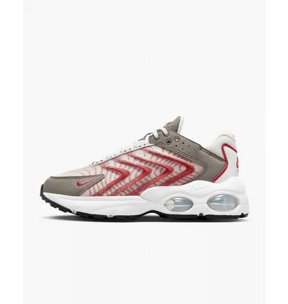 Кроссовки мужские Nike Air Max Tw Beige Dq3984-002