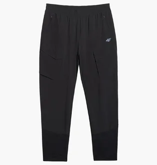 Штаны мужские 4F Trekking Black 4FWAW25TFTRM1056-20S