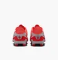 Бутсы мужские Nike Legend 10 Academy Fg/Mg Orange DV4337-800