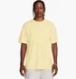 Футболка мужская Nike Premium Yellow DO7392-744