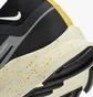 Кроссовки мужские Nike Pegasus Trail 4 Gore-Tex Black DJ7926-005