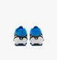 Бутси дитячі Nike Jr Legend 10 Academy Fg/Mg Blue DV4348-400