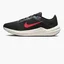 Кросівки чоловічі Nike Air Winflo 10 Black DV4022-002