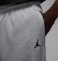 Штани чоловічі Air Jordan Brk Cllgte Hbr Grey HV0091-051