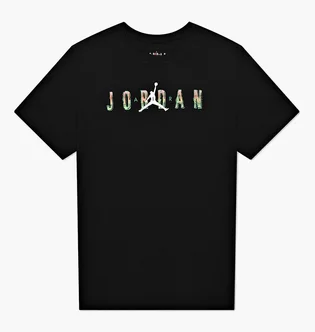 Футболка мужская Air Jordan M J Sprt Dna Hbr Ss Crew Black CZ8083-010