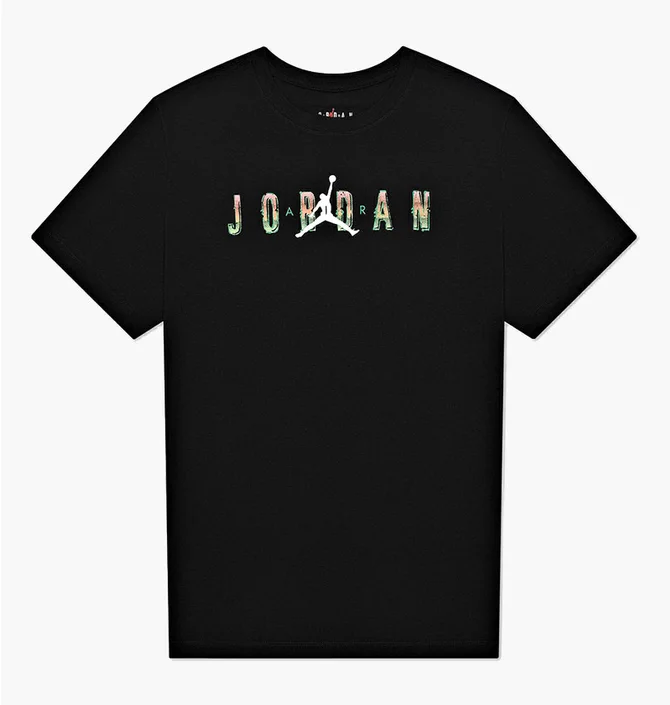 Футболка чоловіча Air Jordan M J Sprt Dna Hbr Ss Crew Black CZ8083-010