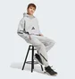 Штаны мужские Adidas Z.N.E. Pants Grey JF2446