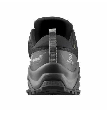 Кроссовки мужские Salomon X Reveal 2 Gore-Tex Black 416233